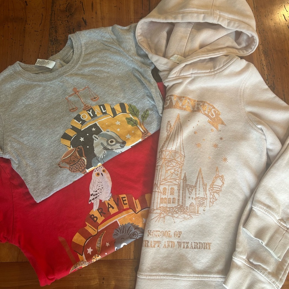 Kids Hogwarts Themed Shirts and Hoodie Set